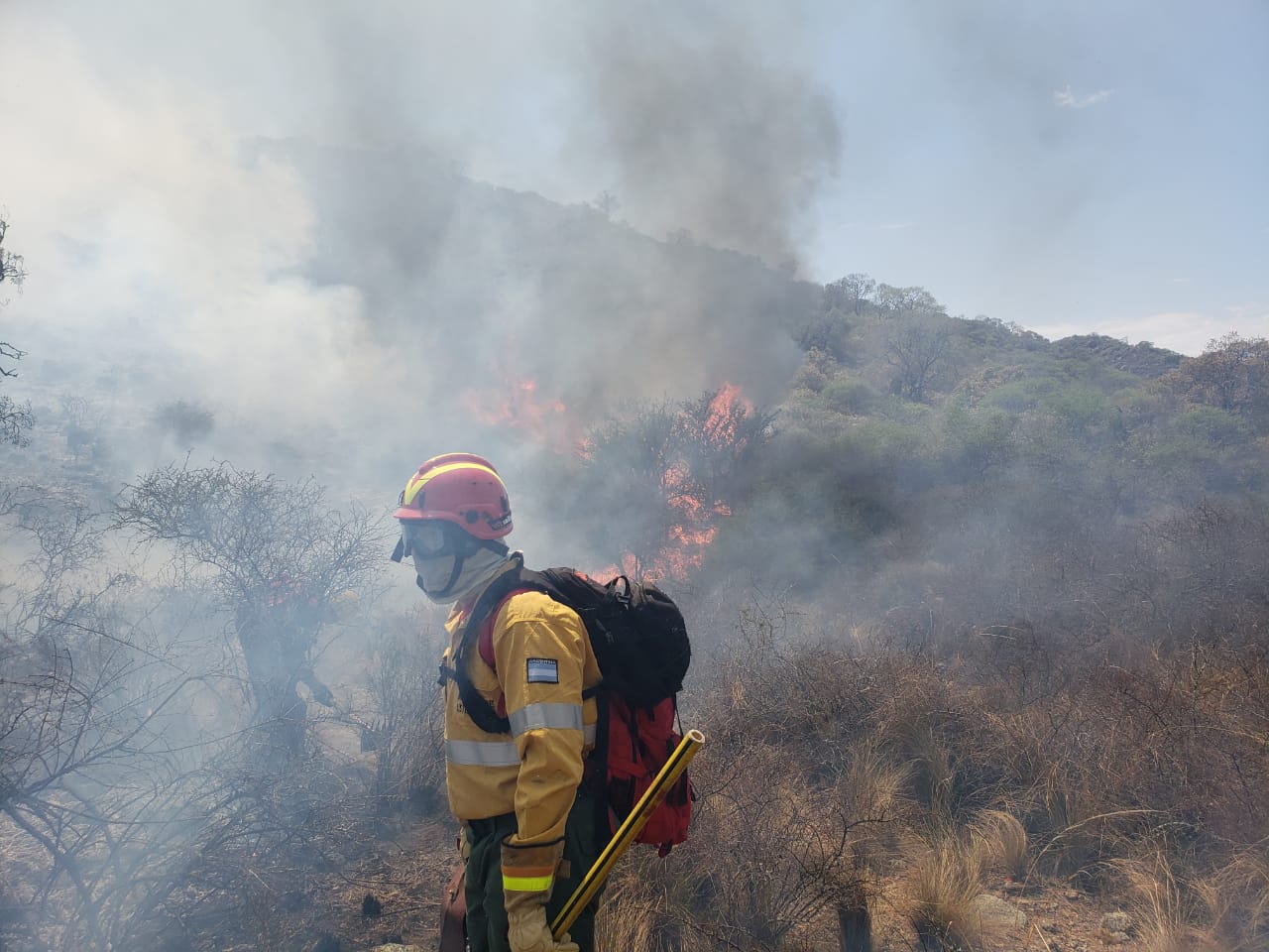 El gobierno provincial dio a conocer el avance de las tareas por los incendios forestales en el interior de la provincia  - foto  2