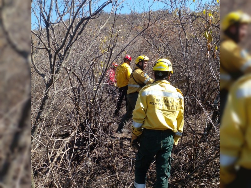 Continúan las tareas para combatir el incendio en el Cordón del Velasco que se mantiene activo en el sector Noroeste - foto  1